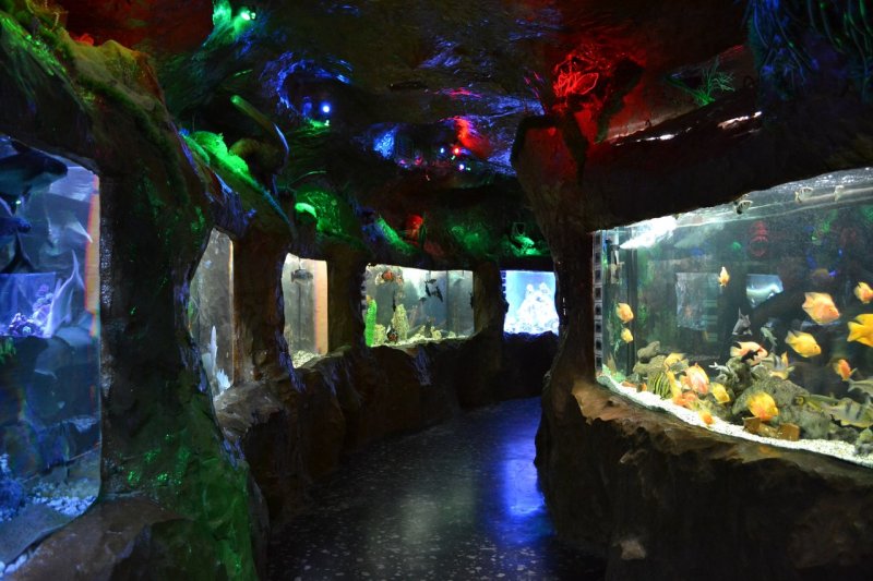 Где в Крыму аквариумы фото