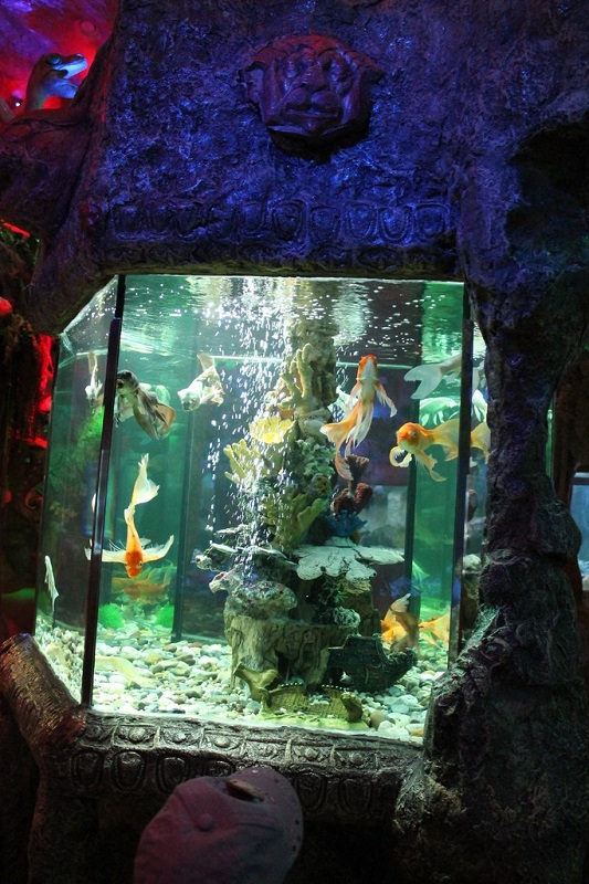 интересные места с детьми — евпаторийский аквариум фото