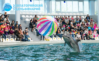 Развлечения для детей в дельфинарии