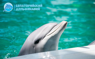 Развлечения в Крыму 2023 в дельфинарии