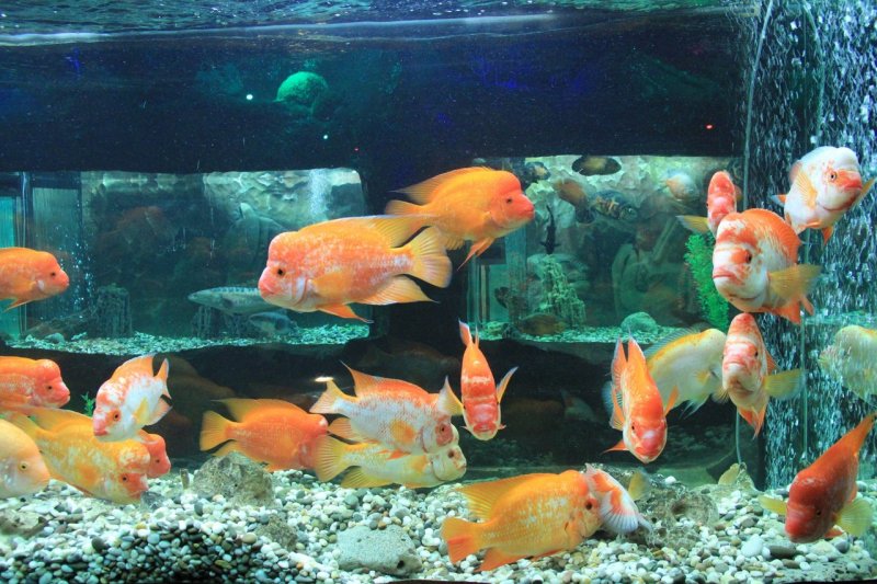 евпатория куда сводить ребенка фото