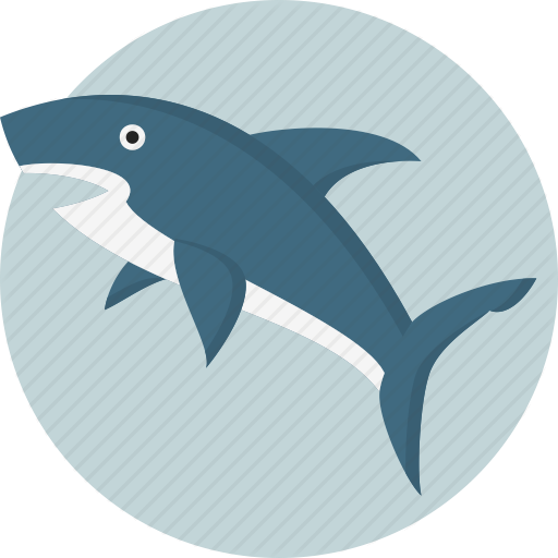 Акулы Акулы Евпаторийского Аквариума